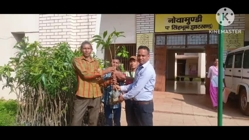 noamundi prakhand me aam bagwani ke liye poudha ur khad ka vitran kiya gaya