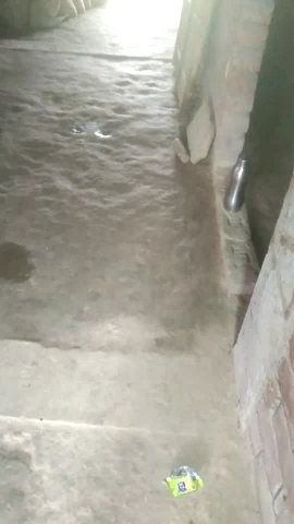 Madhepura Bihar se badh ki sambhavna sabse jyada khatra hai  jo ki 1971 karykram 87 se jyada halat bigadane ki sambhavna