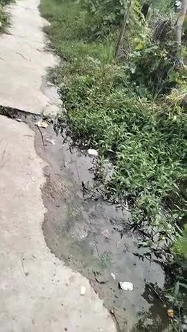 Dumareya gang chettr me agay gaon hai gaddhe me pani nahi ja rahi hai 
gaddha puri trah se kachre gobar se bhar dey hai