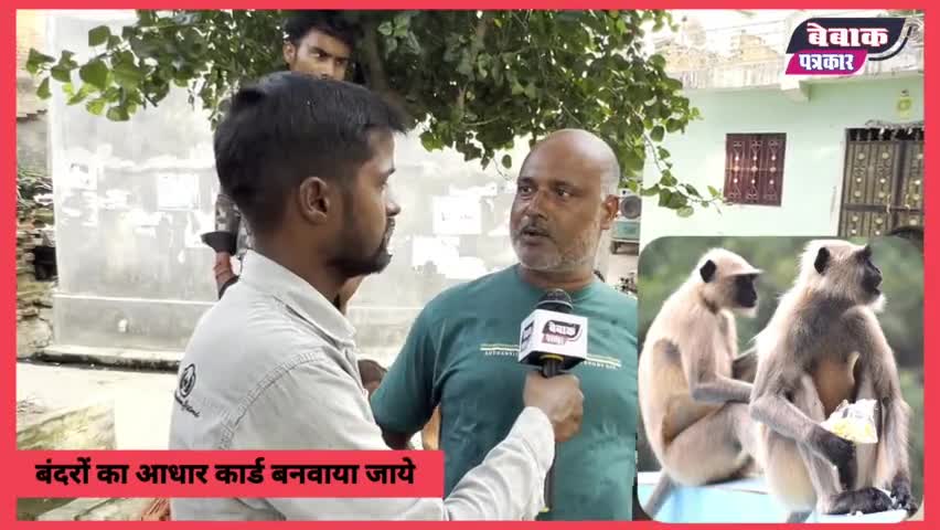 महिलाओं और बच्चों के पीछे पड़ा बंदरों का झुंड #monkey