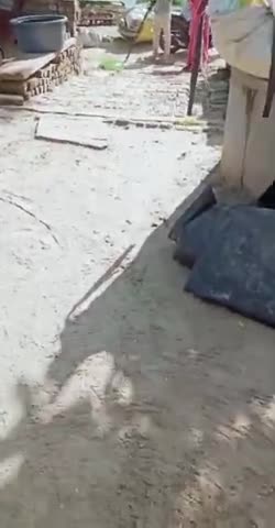 khule aam dham ki déta huaa marne ki