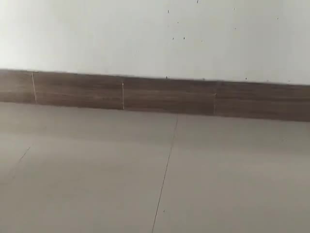 fusiddjfjffhhjxjdjdhhdhddhhddhhddhhdjddh