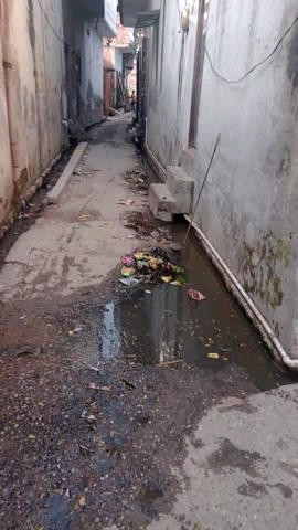 nahi aata hai koi safai karmi chunav aate hi vade Karte hai prdhan aur member 15 Saal se koi safai karmi nahi mila