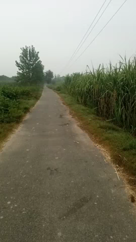 ग्राम सूफ़ीपुर अंगद मे देखा गया गुलदार गाओ वालो को सर्थक रहने की अनुमति
