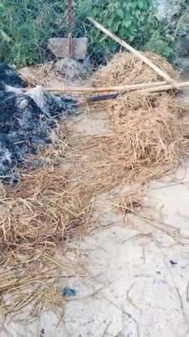 ग्राम लकड़ी जमोड़ी में बुराई के प्रतीक रावण को जलाने हेतु बनाया गया था लेकिन कुछ असामाजिक लोगों ने समय से पहले रावण