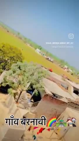 apna gaw barnavi #barnau #kairana #shamli #uttarpardesh #tranding #traning #trand #viral #short #video #reels #status
