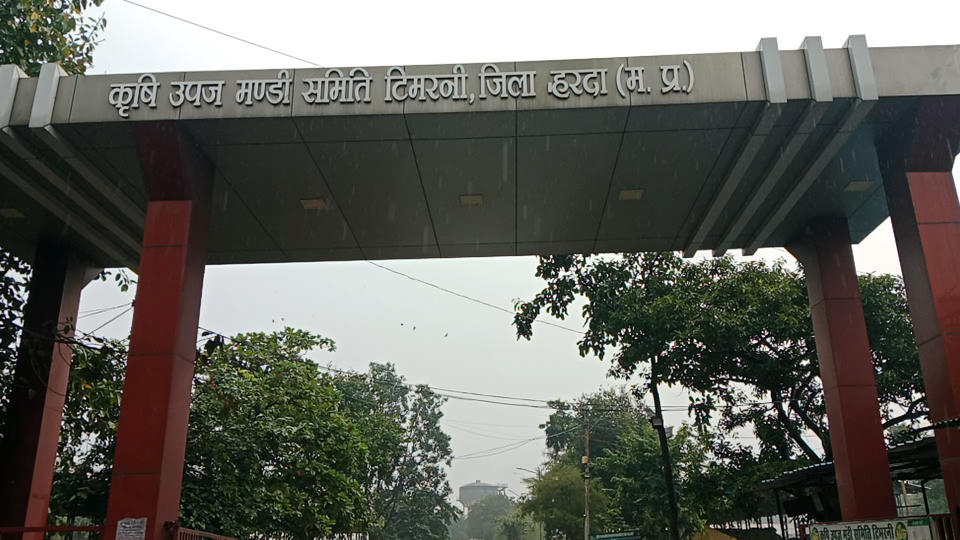 तेज बारिश के चलते टिमरनी मंडी में भरा लबालब पानी