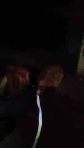kripya Gau Mata ke liye Chhota sa Sam support 5 rupaye se police madad Karen