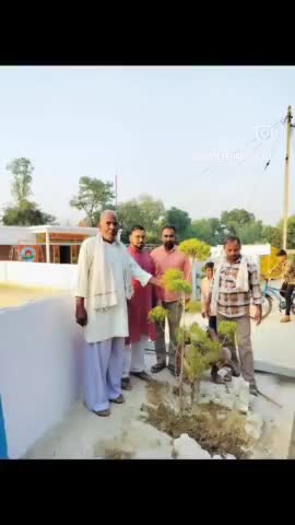 *मिनी स्टेडियम जियनपुर में प्रधान सफ़ीर हैदर ने किया पौधरोपण शुध्द वातावरण के लिए अति आवश्यक है पेड*