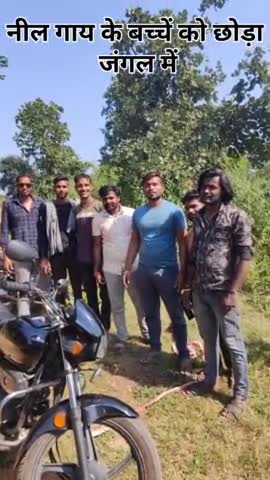 नीलगाय के बच्चे को छोड़ जंगल में #vanjiv#goraksha