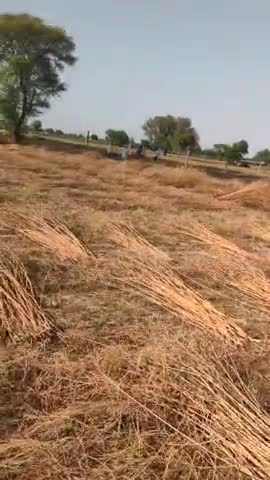 naval singh village luhasa tahsil nadbai bharatpur m dhecha jalkar Rakh ho gya