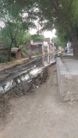 गाँव पंचायत रायसीस की मुख्य सडक