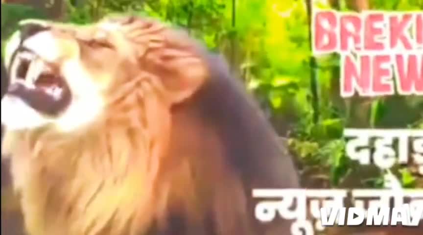 2024 लोकसभा चुनाव भाजपा क्यों हारी जानिए पूरा सच क्योंकि मड़ियाहूं विधानसभा के कुछ वरिष्ठ भाजपाई दिखे सपा के खेमें मे।