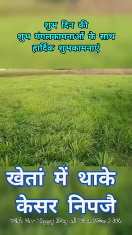 Lokesh Sharma electrishian chhabra gugor