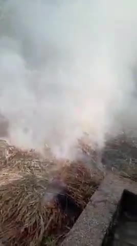 खेत से लाती हुई करब की ट्रॉली मैं करंट से लगी आग गांव गहलऊ बीरी सिंह पूर्व सरपंच साहब