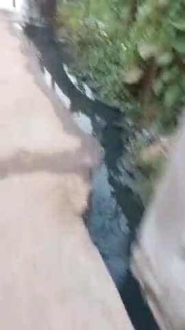 अगर कोई वाटर पार्क में जाने की सोच रहा है तो
कही न जाए हमारे गांव हरगोविंद पुरा में आए और वाटर पार्क का फ्री में लुफ्त