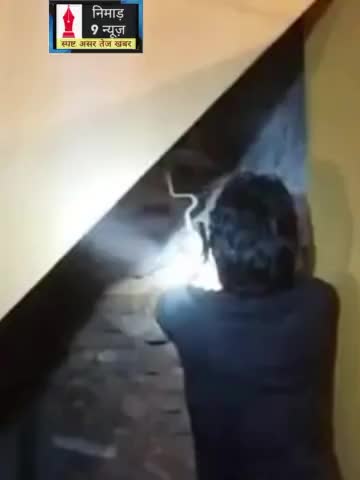 अंजड़: अंजड़ में मिला दुर्लभ वन सुन्दरीसर्प  सर्प मित्र ने किया रेस्क्यू#anjad#