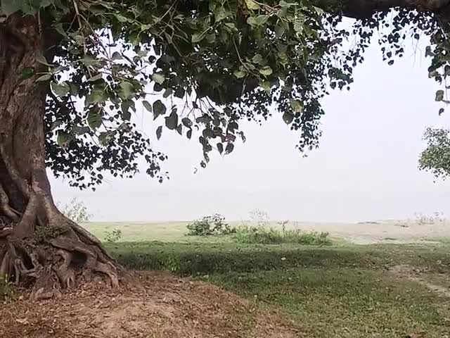 भोलेनाथ जी थरेरू का दर्शन
