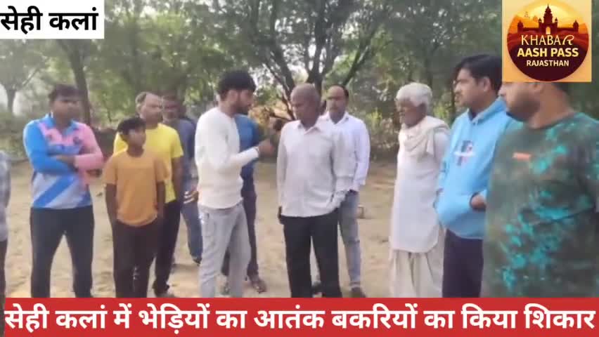 चिड़ावा सेही कलां में भेड़ियों का आतक ने बकरियों का किया शिकार # News