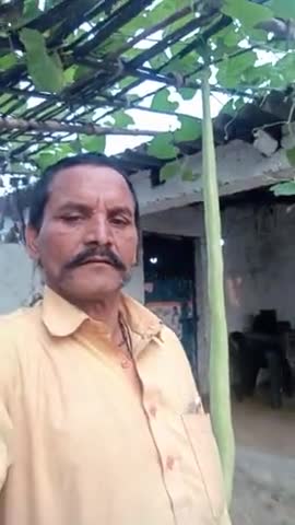 इस वर्ष जून में की गई बुवाई के लौकी है जिसकी हाइट 5 फुट 6 इंच 4 सेंटीमीटर है