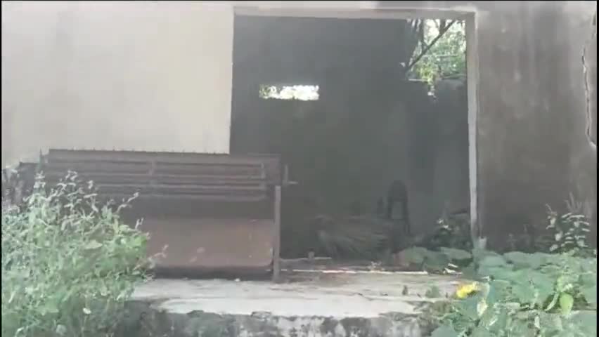 मेसकौर प्रखण्ड के तेतरिया पंचायत में पैक्स गोदाम हुआ कबाड़ में तब्दील, वीडियो हुआ Viral #nawada