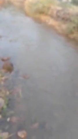 colony maner Ka Pani barbad
