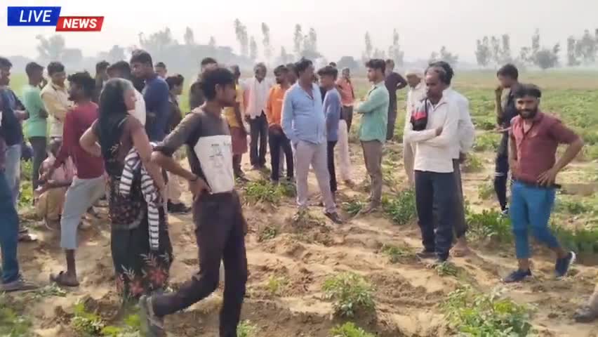 छिबरामऊ 10 बीघा आलू की फसल पर ट्रैक्टर से जोत कर किया अज्ञात लोगों ने बर्बाद महमूदपुर जागीर का मामला #aalu