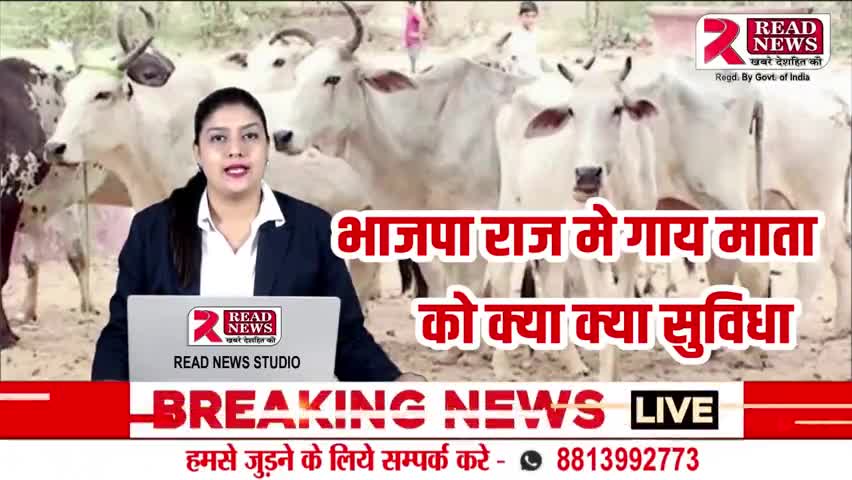 UP: भाजपा राज मे गाय माता की स्तिथि पर सिद्धार्थनगर उत्तर प्रदेश से रिपोर्ट #सिद्धार्थनगर #उत्तरप्रदेश #siddharthnagar