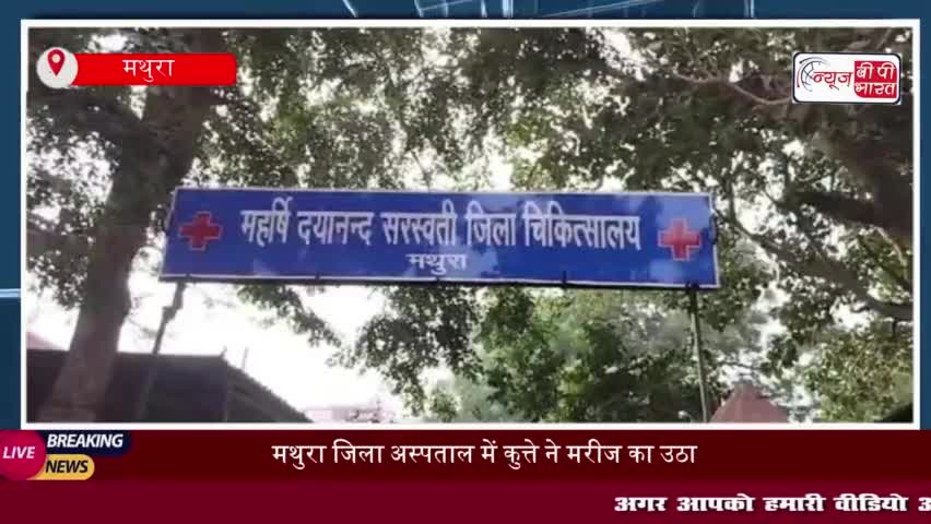 मथुरा जिला अस्पताल में कुत्ते ने मरीज का उठाया खाना , वायरल हुआ वीडियो
#मथुरा #जिला #अस्पताल #कुत्ते #मरीज