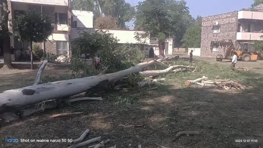 #news18plus 
#news_live 
#save trees
aaj nayapura rtdc hotel knyha trees kate ja rhe h