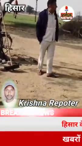 हिसार के असरावां गांव में बावरी के पास मिली टोपीदार बंदूक, जांच में जुटी वन्य प्राणी विभाग की टीम || #viral #hisar #gun