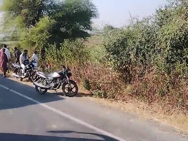 भिण्ड ग्वालियर रोड पर नीलगाय के कारण वाहन दुर्घटना