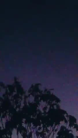 suryaprakash jatav suryaprakash jatav