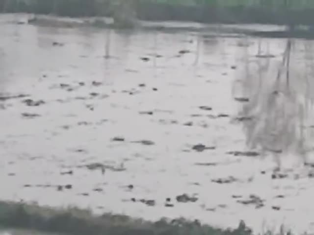 राहुल कुमार सर्वेश कुमार पोस्ट कैमरा जिला इटावा नगला राठौर नगला रानी 50 बीघा खेती कुछ भाई की खेती बहुत कम थी वह भी गई