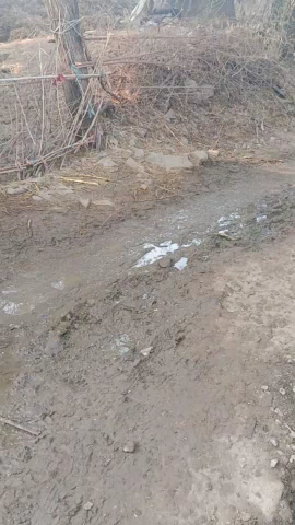 ग्राम पंचायत गुलखेड़ी तहसील इकलेरा जिला झालावाड़ राजस्थान