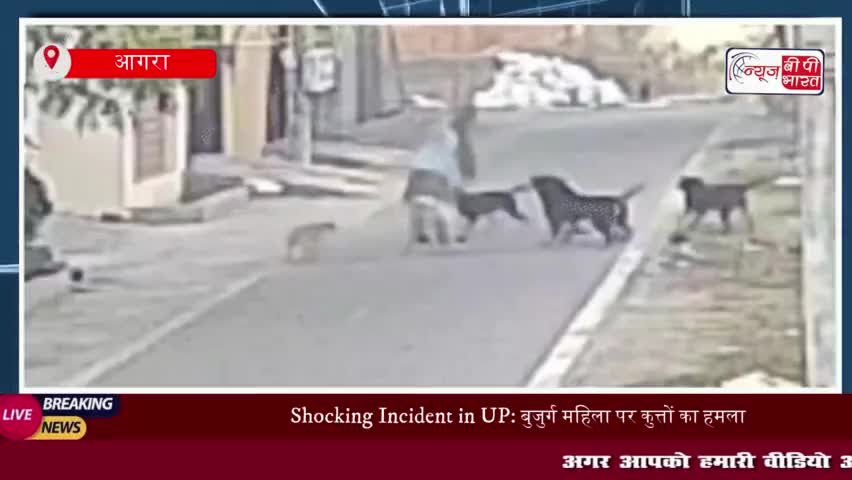 Shocking Incident in UP: बुजुर्ग महिला पर कुत्तों का हमला, CCTV में कैद हुई खौफनाक घटना
#Shocking #UP #बुजुर्ग
