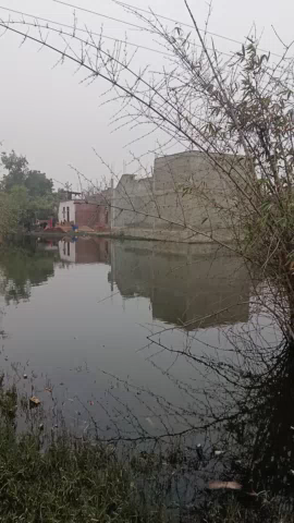 #फतेहपुर न्यूज:  यह मामला वार्ड नं 03 बक्सपुर का आवासीय क्षेत्र में बने तालाब से लोगों के घरों में पानी घुसने का खतरा| #