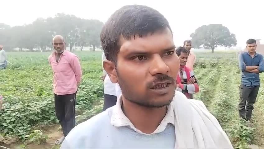 #औरैया जनपद के अजीतमल तहसील क्षेत्र अंतर्गत ग्राम महाराजपुर अटसू में मिशन समाधान दिवस के अंतर्गत किसान संतुष्ट दिखाई दिए