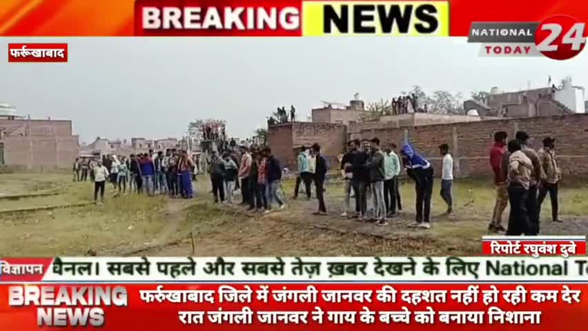 फर्रुखाबाद जिले में जंगली जानवर की दहशत नहीं हो रही कम, देर रात जंगली जानवर ने गाय के बच्चे को बनाया निशाना।
#farrukha