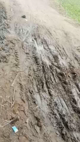 yaha jald se jald karwahi Kari jaye dhaniywad