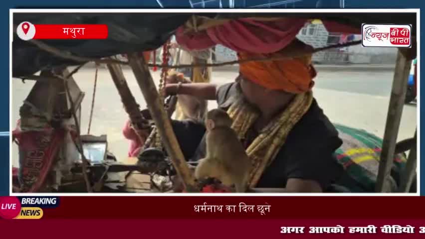 धर्मनाथ का दिल छूने वाला कदम: दिव्यांग साधु बन गए बंदरों के पालनहार
#धर्मनाथ #दिव्यांग #साधु