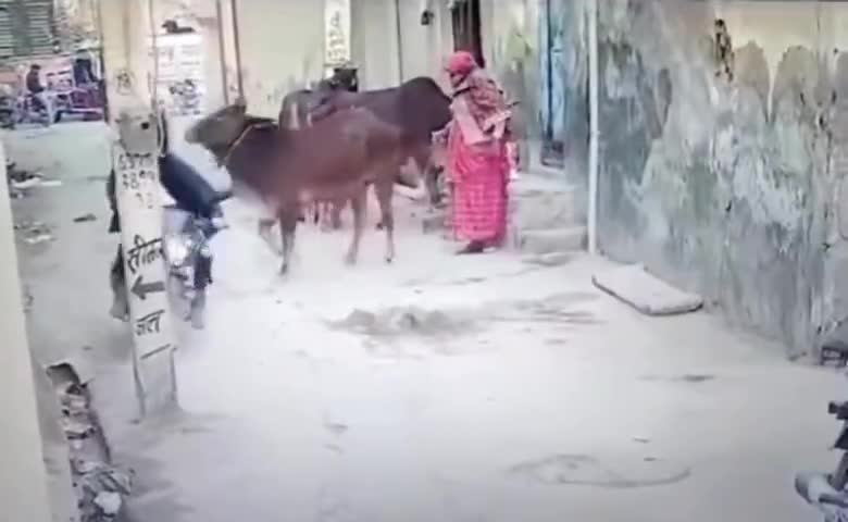Awara Pashu majbut khambe Vikas ki Aandhi se udta Samaj Shyampur