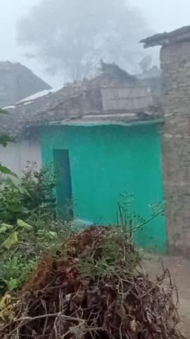 Panna jila me mosam kharab or nuksan kisan paresan@###########@@#pawai me jaam kohra ki bajah