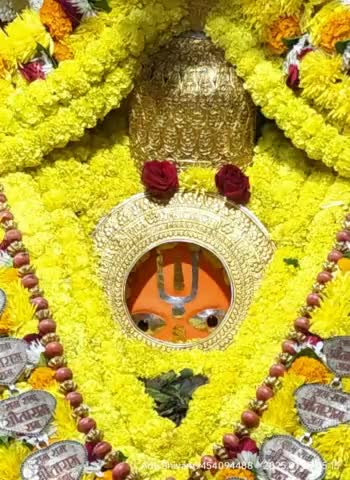 🌺🌻🌻
*#श्री_हनुमान_जी_महाराज जी की प्रातः कालीन शुभ मंगला श्रृंगार आरती दर्शन*🌺 _*#श्री_हनुमानगढ़ी_अयोध्याधामजी।।*_ 🌺🌻 दिनांक~ 7/1/2025 मंगलवार 🌻🌺 श्री हनुमान जी महाराज सबके सकल मनोरथ सिद्ध करें।। स्वस्थ और प्रसन्न चित्त रखें।।🌺🌻