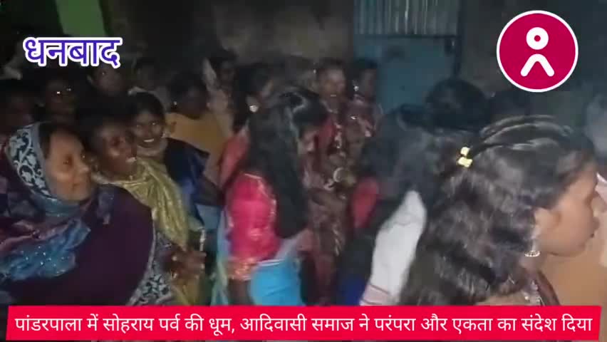 #पांडरपाला में #सोहराय_पर्व_की_धूम, #आदिवासी_समाज ने #परंपरा_और_एकता का #संदेश दिया !