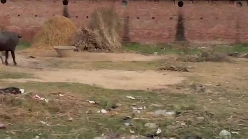 ग्राम पंचायत ढखेरवानानकार गांव बिछूली में खेल मैदान की सफाई कराने की लगाई थी गुहार सफाई  होने के बाद फिर दबंगों का कब्जा