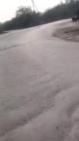 बीजेपी ने कर दिया देश का सत्यानाश घटिया निर्माण
