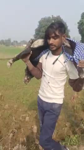 सारंगपुर गांव में एक डोगी की मौत ज़हर डाल के की गई सोची समझी हत्या जिसका नाम लक्की था।