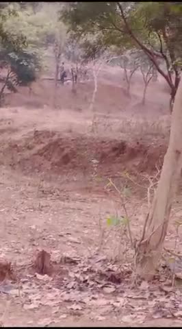 थाना न निबोरा के पास #तहसील फतेहाबाद कोई भी अधिकारी सुनवाई नहीं कर रहा है इसको वीडियो को भाई जरुर शेयर करें निबोरा