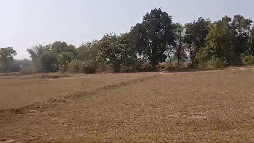 जामताड़ा जिला के अंतर्गत कालीपाथर गांव में एक तालाब के पास मांसाहारी पौधा मिला है